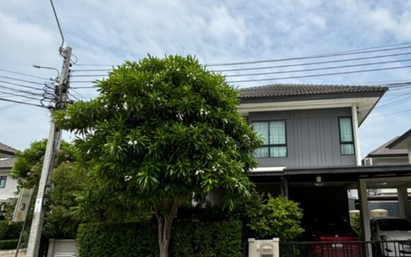 ขายบ้านแฝด หมู่บ้านแกรนด์ พลีโน่ สุขสวัสดิ์-พระราม 3 ทุ่งครุ กรุงเทพฯ พร้อมเข้าอยู่